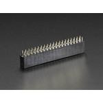 Picture of GPIO Header for Raspberry Pi A+/B+/Pi 2/Pi 3 - 2x20 Female Header